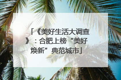 《美好生活大调查》：合肥上榜“美好焕新”典范城市