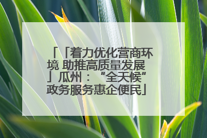 「着力优化营商环境 助推高质量发展」瓜州：“全天候”政务服务惠企便民