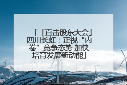 「直击股东大会」四川长虹：正视“内卷”竞争态势 加快培育发展新动能