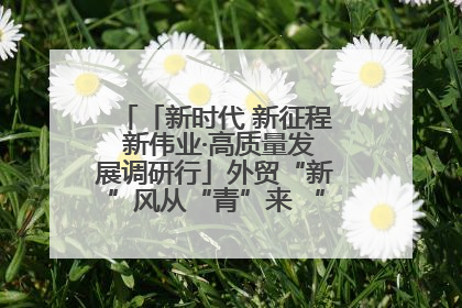 「新时代 新征程 新伟业·高质量发展调研行」外贸“新”风从“青”来 “双向奔赴”启新程