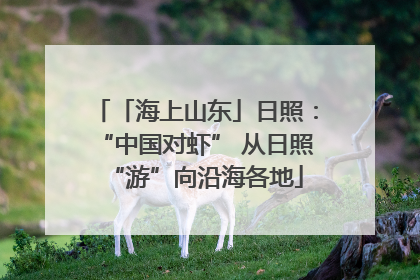 「海上山东」日照：“中国对虾” 从日照“游”向沿海各地