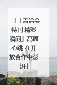 「青洽会特刊·精彩瞬间」高原心跳 在开放合作中澎湃