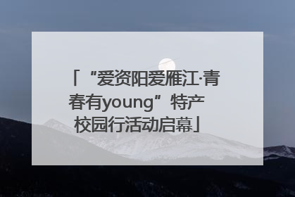 “爱资阳爱雁江·青春有young”特产校园行活动启幕