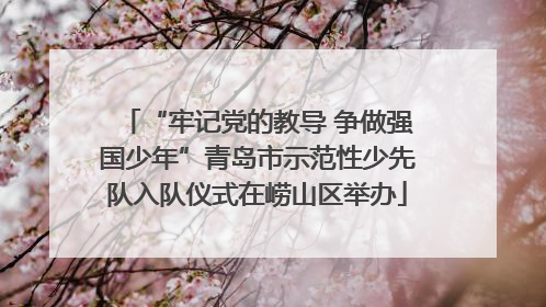 “牢记党的教导 争做强国少年”青岛市示范性少先队入队仪式在崂山区举办