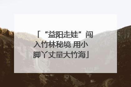 “益阳走娃”闯入竹林秘境 用小脚丫丈量大竹海