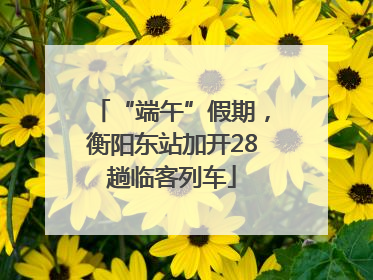 “端午”假期，衡阳东站加开28趟临客列车