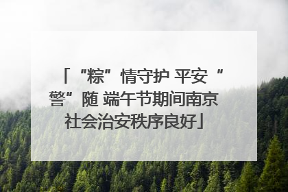 “粽”情守护 平安“警”随 端午节期间南京社会治安秩序良好