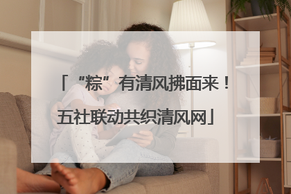 “粽”有清风拂面来！五社联动共织清风网