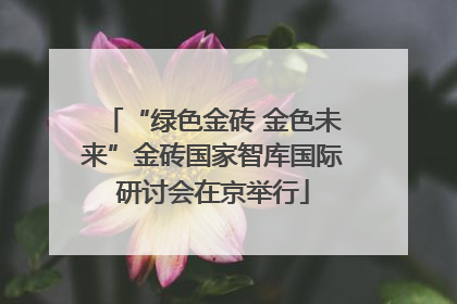 “绿色金砖 金色未来”金砖国家智库国际研讨会在京举行