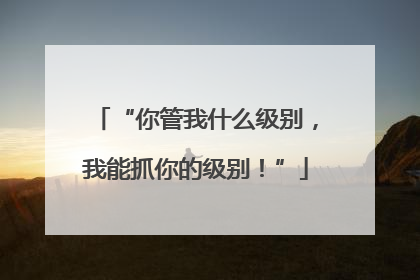 “你管我什么级别，我能抓你的级别！”