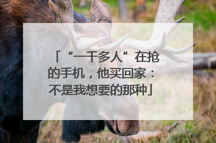 “一千多人”在抢的手机，他买回家：不是我想要的那种