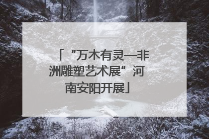 “万木有灵—非洲雕塑艺术展”河南安阳开展