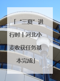 “三夏”进行时丨河北小麦收获任务基本完成
