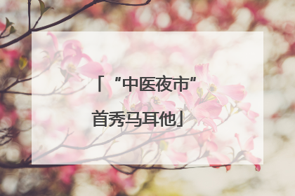 “中医夜市”首秀马耳他