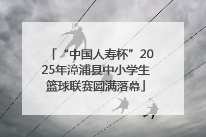 “中国人寿杯”2025年漳浦县中小学生篮球联赛圆满落幕