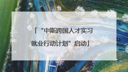 “中斯跨国人才实习就业行动计划”启动