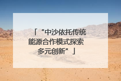 “中沙依托传统能源合作模式探索多元创新”