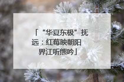 “华夏东极”抚远：红莓映朝阳 界江听熊吟
