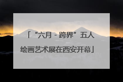 “六月 - 跨界”五人绘画艺术展在西安开幕