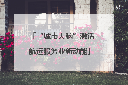 “城市大脑”激活航运服务业新动能
