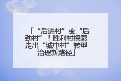 “后进村”变“后劲村”！胜利村探索走出“城中村”转型治理新路径