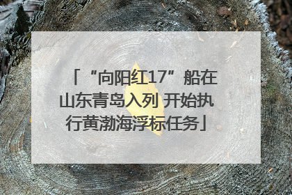 “向阳红17”船在山东青岛入列 开始执行黄渤海浮标任务