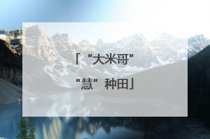 “大米哥”“慧”种田