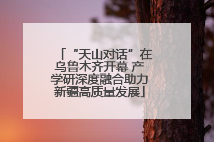 “天山对话”在乌鲁木齐开幕 产学研深度融合助力新疆高质量发展