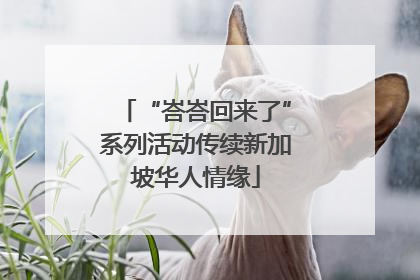 “峇峇回来了”系列活动传续新加坡华人情缘