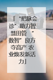 “把脉会诊”助力智慧田管 “数智”良方夺高产 农业焕发新活力