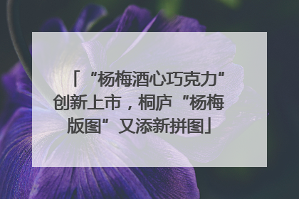 “杨梅酒心巧克力”创新上市，桐庐“杨梅版图”又添新拼图