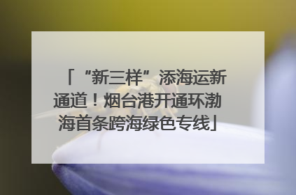 “新三样”添海运新通道！烟台港开通环渤海首条跨海绿色专线