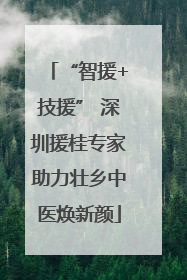 “智援+技援” 深圳援桂专家助力壮乡中医焕新颜