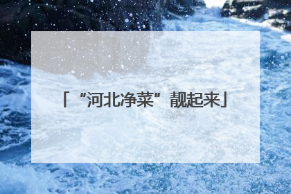 “河北净菜”靓起来