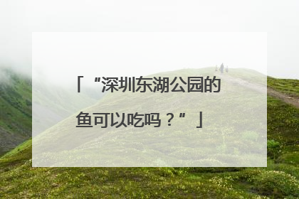 “深圳东湖公园的鱼可以吃吗？”