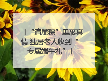 “清廉粽”里裹真情 独居老人收到“专属端午礼”