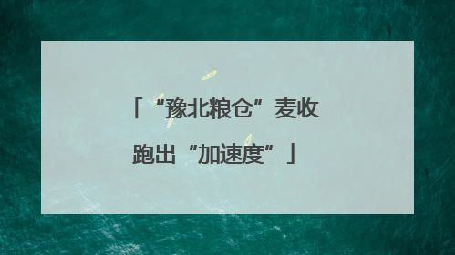 “豫北粮仓”麦收跑出“加速度”