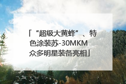 “超级大黄蜂”、特色涂装苏-30MKM 众多明星装备亮相