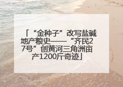 “金种子”改写盐碱地产粮史——“齐民27号”创黄河三角洲亩产1200斤奇迹