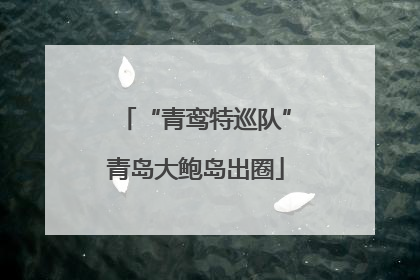 “青鸾特巡队”青岛大鲍岛出圈
