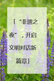 “非遗之夜”，开启文明对话新篇章