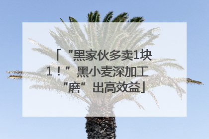“黑家伙多卖1块1！”黑小麦深加工“磨”出高效益