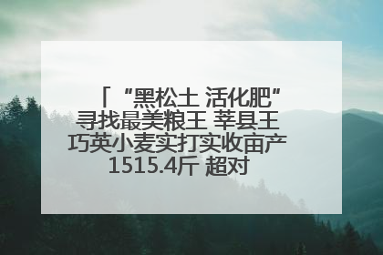 “黑松土 活化肥”寻找最美粮王 莘县王巧英小麦实打实收亩产1515.4斤 超对照田144斤！