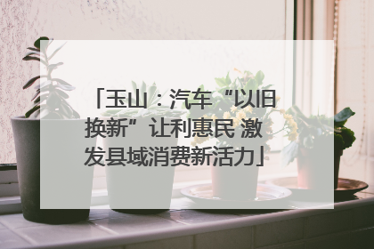 玉山：汽车“以旧换新”让利惠民 激发县域消费新活力