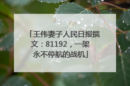 王伟妻子人民日报撰文：81192，一架永不停航的战机