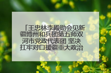 王忠林李殿勋会见新疆博州和兵团第五师双河市党政代表团 坚决扛牢对口援疆重大政治责任 推动双方实现优势互补务实合作