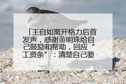 王自如离开格力后首发声，感谢董明珠给自己鼓励和帮助，回应“工资条”：清楚自己要什么，工资条不重要
