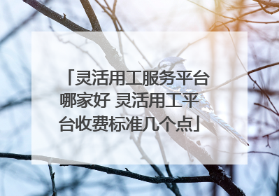 灵活用工服务平台哪家好 灵活用工平台收费标准几个点