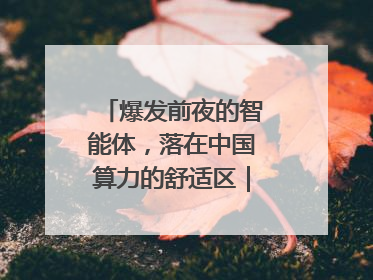 爆发前夜的智能体，落在中国算力的舒适区｜海斌访谈