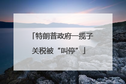 特朗普政府一揽子关税被“叫停”